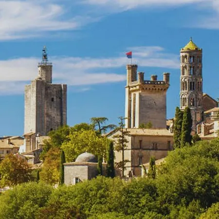 La Villa Des Figuiers Saint-Bonnet-du-Gard Buitenkant foto